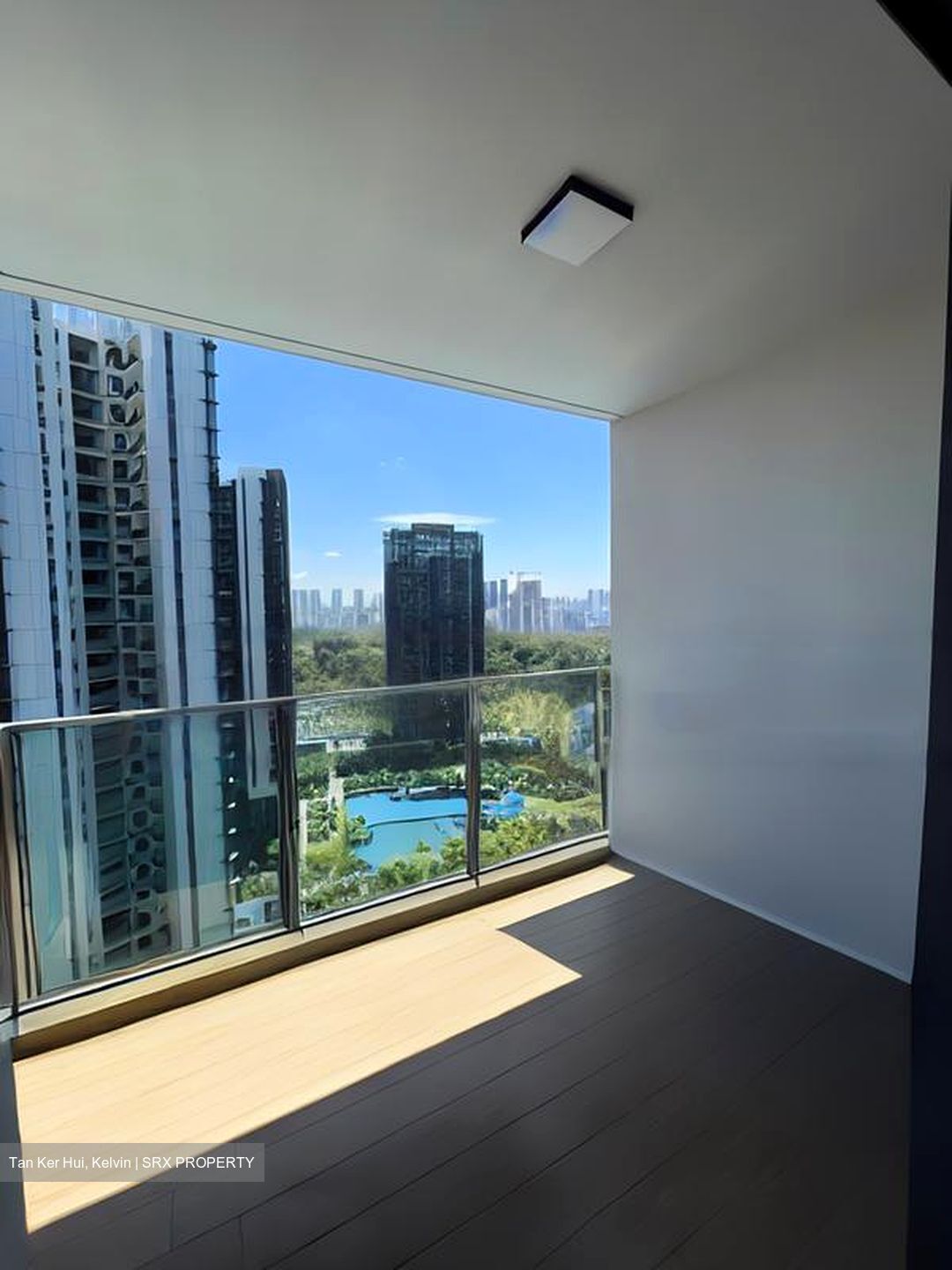 Normanton Park (D5), Apartment #481106701